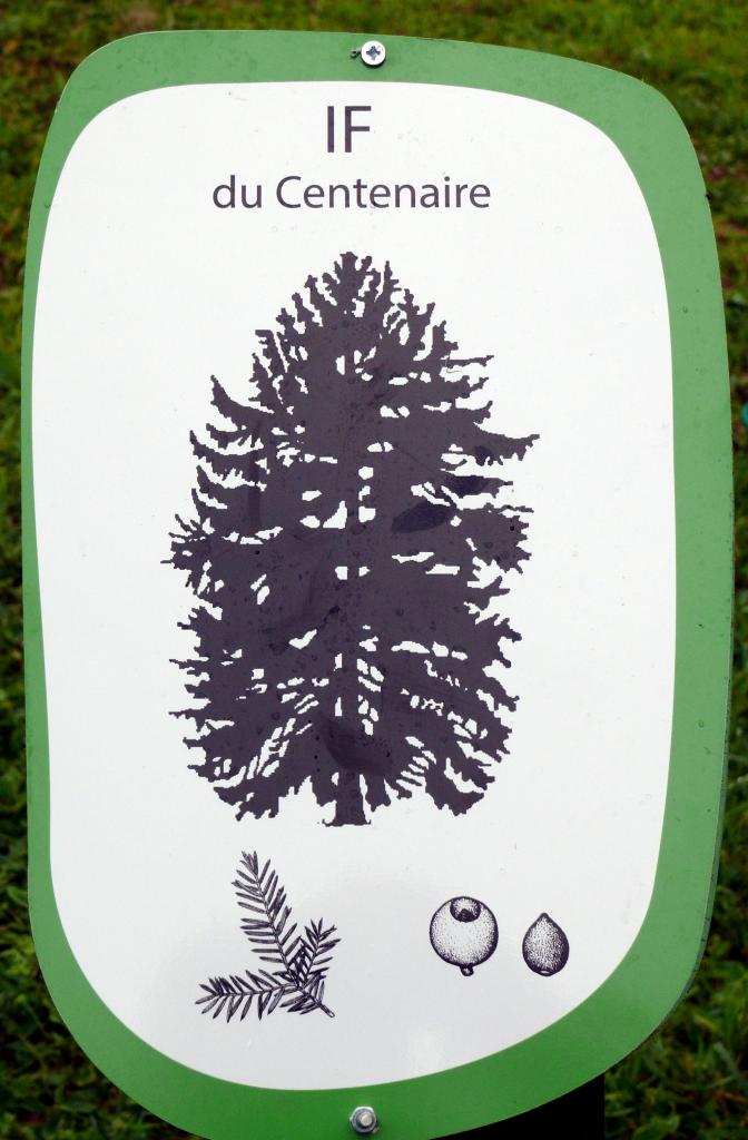 Fort de condé  (Arborétum) 