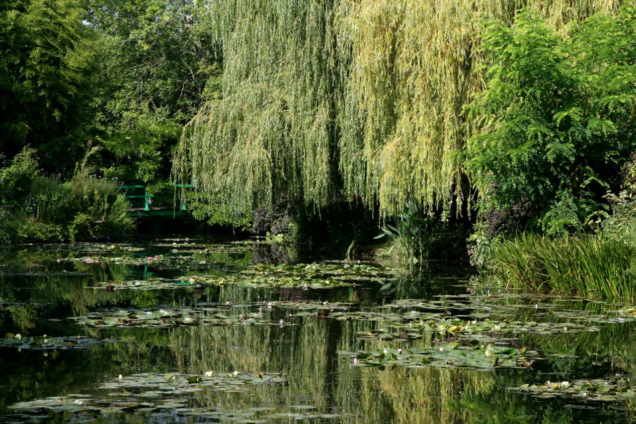 Giverny modifié le 18 avril 2014 (20)