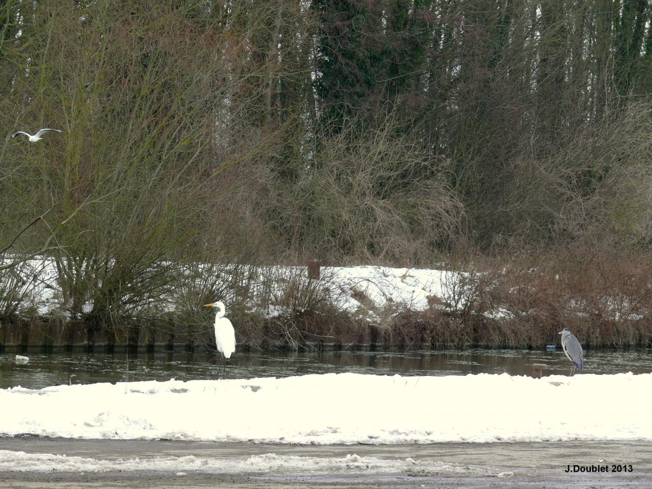 Vailly sur Aisne