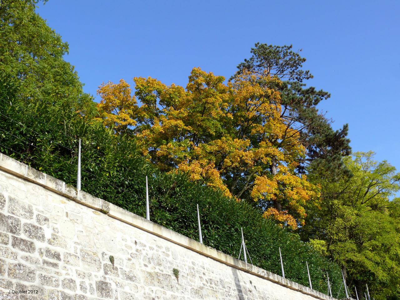 Bucy-le-Long (02880)