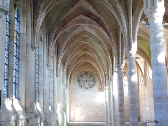 Abbaye St jean des Vignes