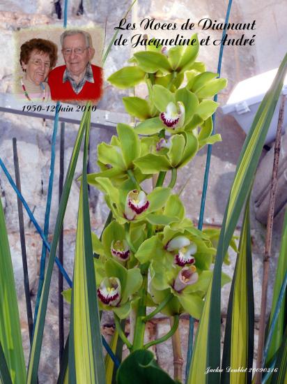 Abbaye de vaucelles, Les Rues des Vignes (59)  