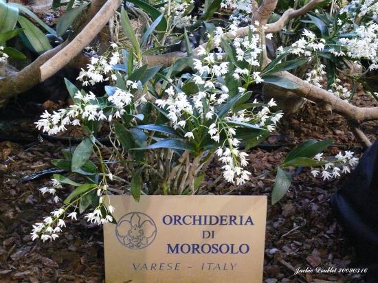 Abbaye de vaucelles, Les Rues des Vignes (59)  