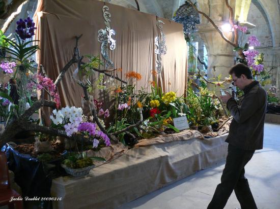 Abbaye de vaucelles, Les Rues des Vignes (59)  