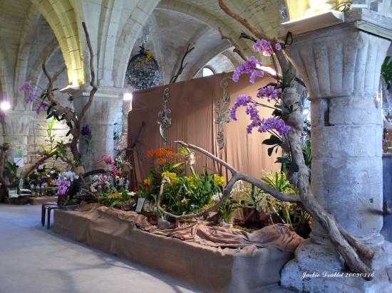 Abbaye de vaucelles, Les Rues des Vignes (59)  