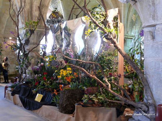Abbaye de vaucelles, Les Rues des Vignes (59)  
