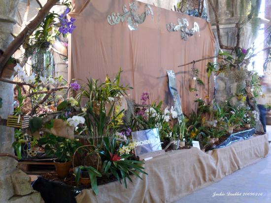 Abbaye de vaucelles, Les Rues des Vignes (59)  