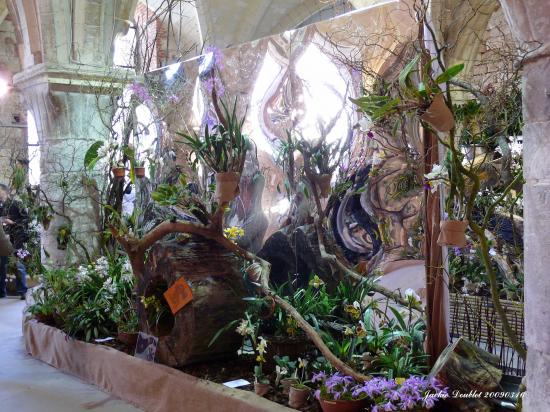 Abbaye de vaucelles, Les Rues des Vignes (59)  