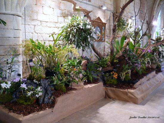 Abbaye de vaucelles, Les Rues des Vignes (59)  