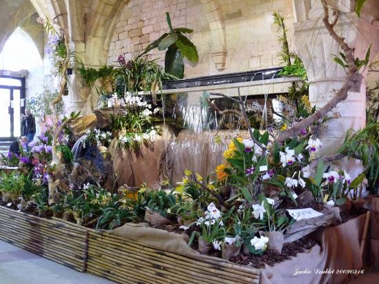 Abbaye de vaucelles, Les Rues des Vignes (59)  