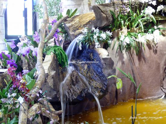 Abbaye de vaucelles, Les Rues des Vignes (59)  