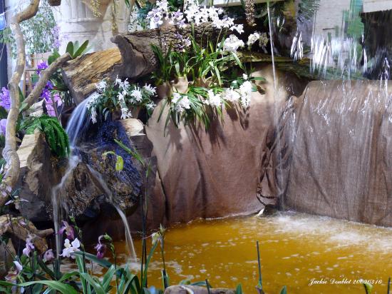 Abbaye de vaucelles, Les Rues des Vignes (59)  