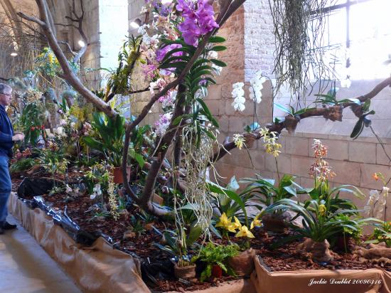 Abbaye de vaucelles, Les Rues des Vignes (59)  