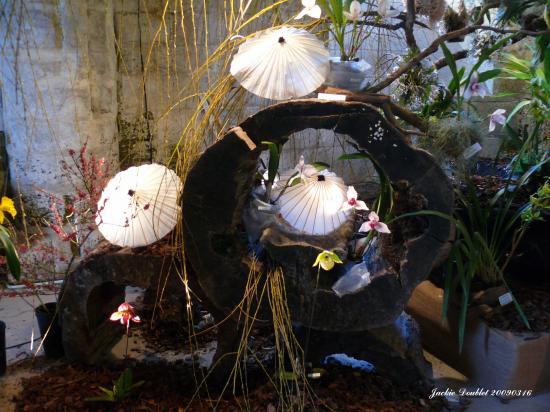 Abbaye de vaucelles, Les Rues des Vignes (59)  