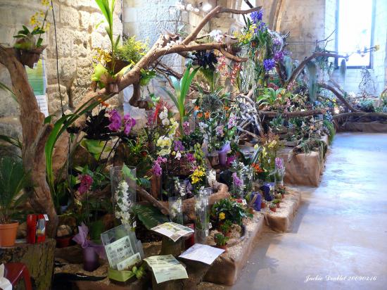 Abbaye de vaucelles, Les Rues des Vignes (59)  