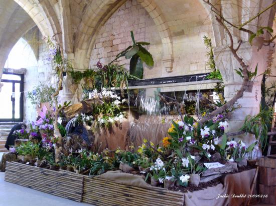 Abbaye de vaucelles, Les Rues des Vignes (59)  