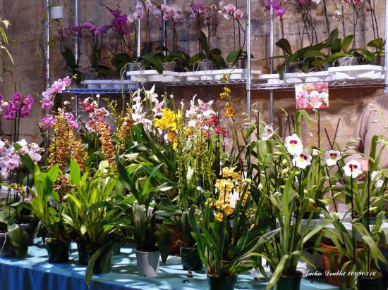 Abbaye de vaucelles, Les Rues des Vignes (59)  