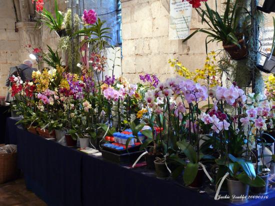Abbaye de vaucelles, Les Rues des Vignes (59)  