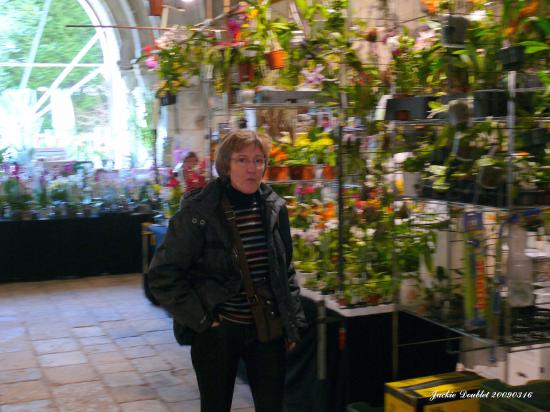 Abbaye de vaucelles, Les Rues des Vignes (59)  