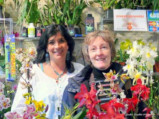 Abbaye de vaucelles, Les Rues des Vignes (59)  