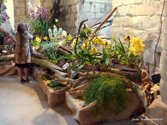 Abbaye de vaucelles, Les Rues des Vignes (59)  