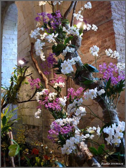 Abbaye de vaucelles, Les Rues des Vignes (59)  