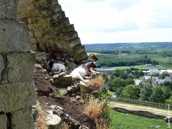 Château fort de Coucy le Château Aufrique