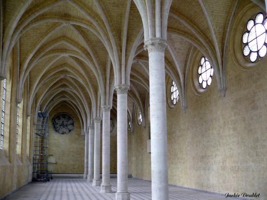 Abbaye St jean des Vignes