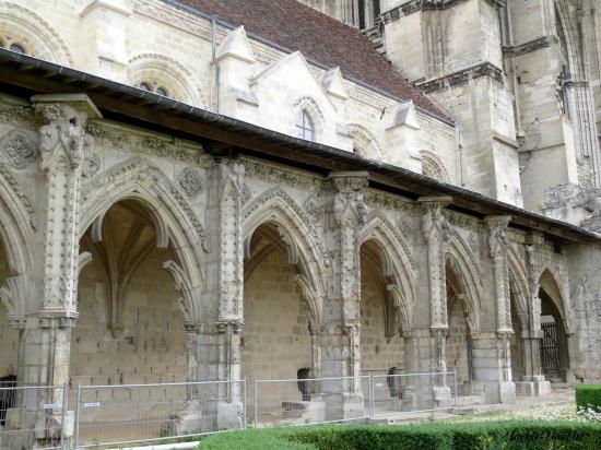 Abbaye St jean des Vignes