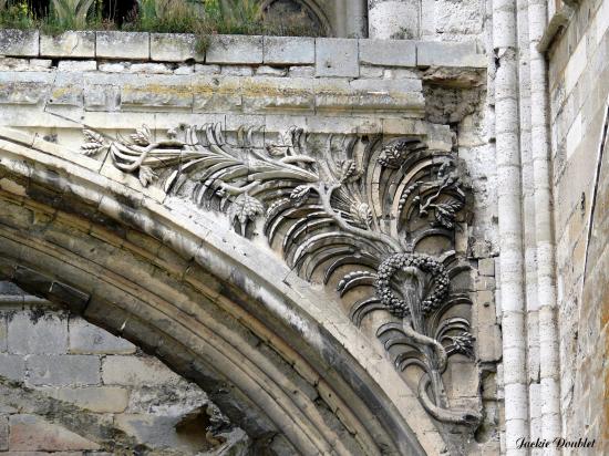 Abbaye St jean des Vignes