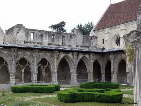 Abbaye St jean des Vignes