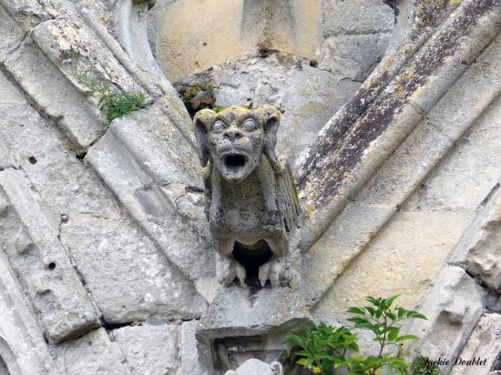 Abbaye St jean des Vignes