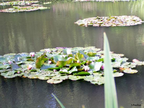 Maison de Monet Giverny