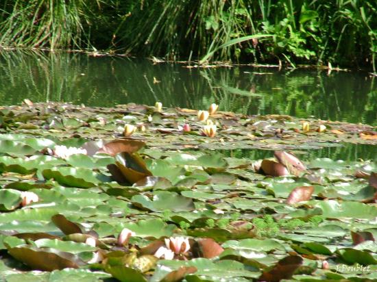 Maison de Monet Giverny