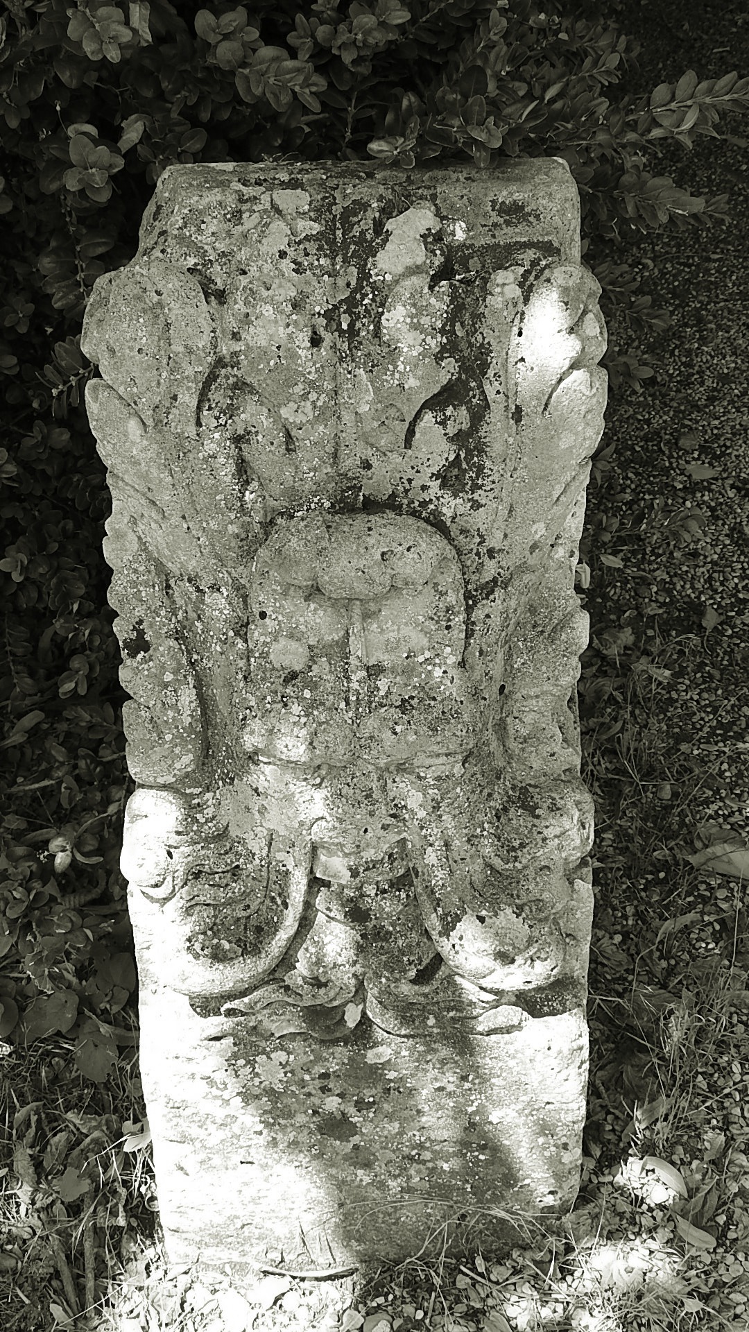 Jardin hotel de ville Soissons (12)