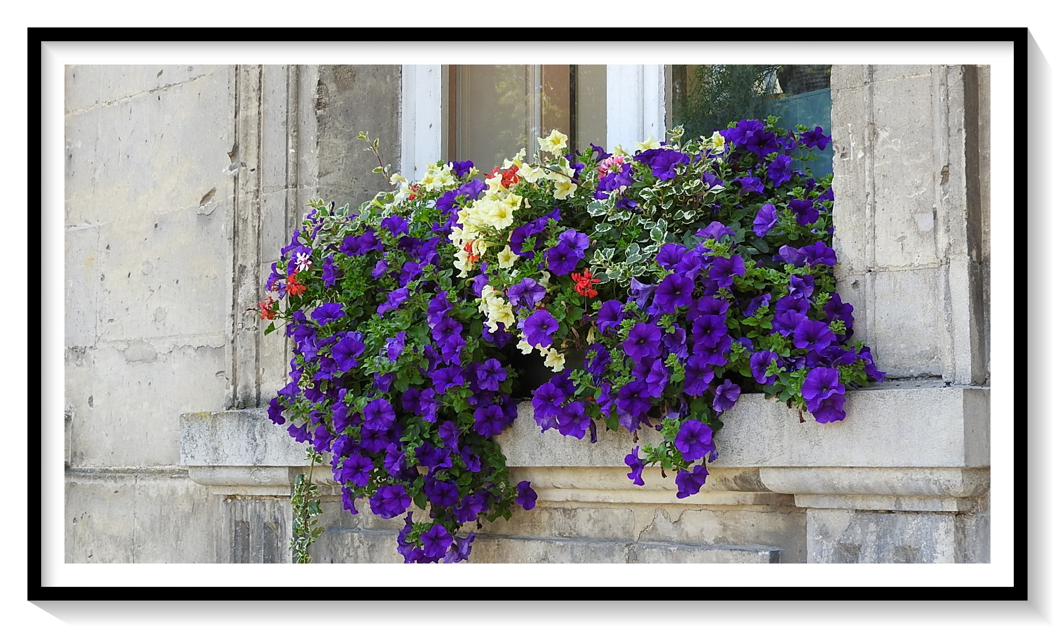 Jardin hotel de ville Soissons (20)