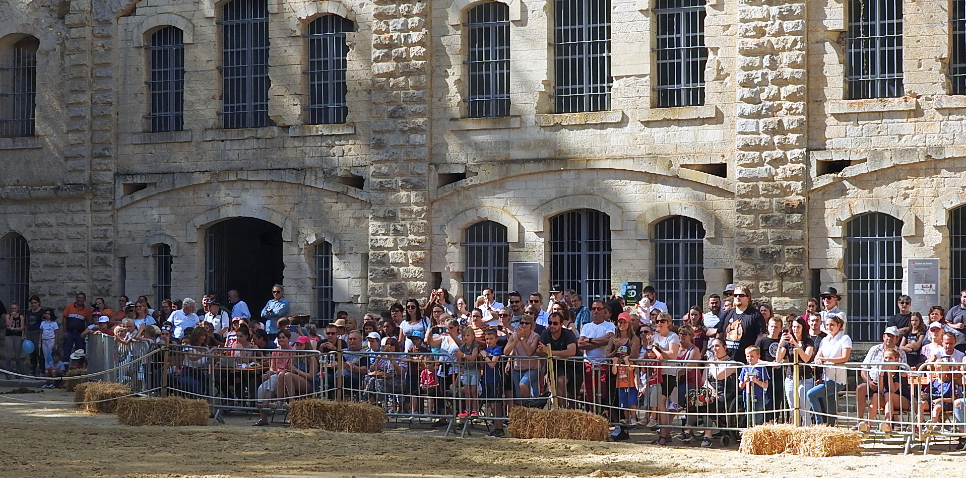 Journée du cheval 09092018 Fort de Condé (12)