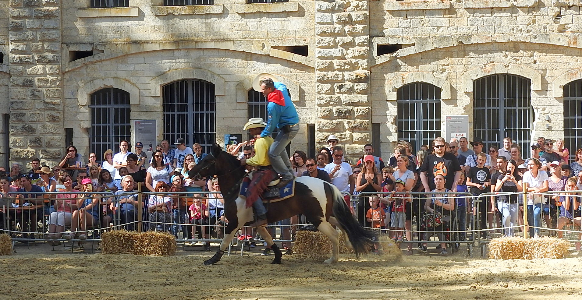 Journée du cheval 09092018 Fort de Condé (21)