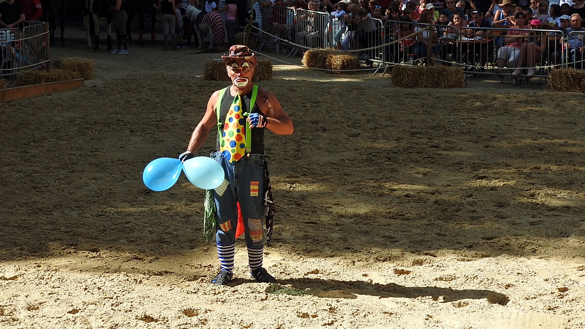 Journée du cheval 09092018 Fort de Condé (22)