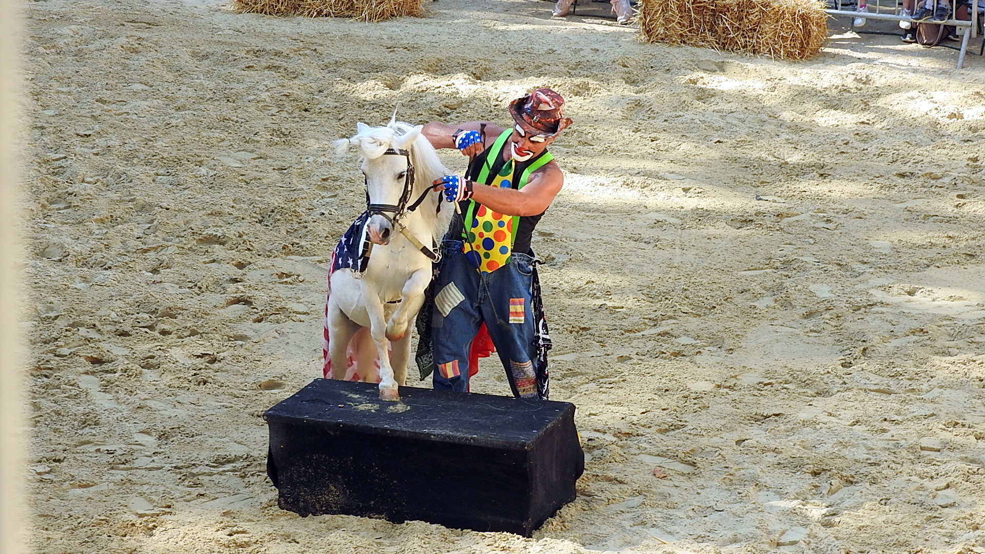 Journée du cheval 09092018 Fort de Condé (26)