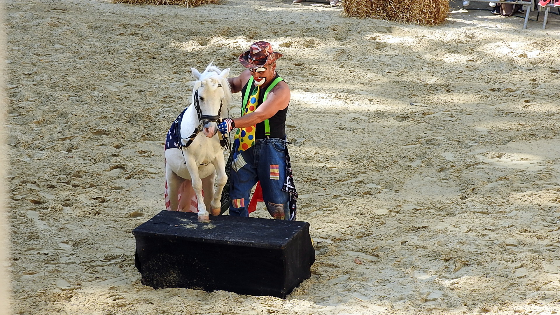 Journée du cheval 09092018 Fort de Condé (27)