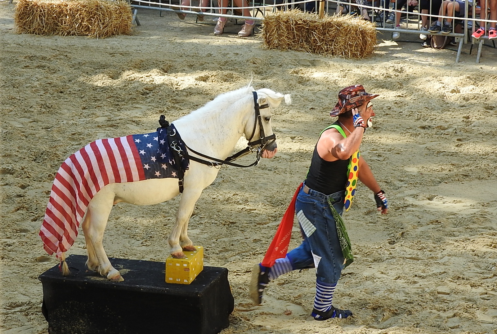 Journée du cheval 09092018 Fort de Condé (28)