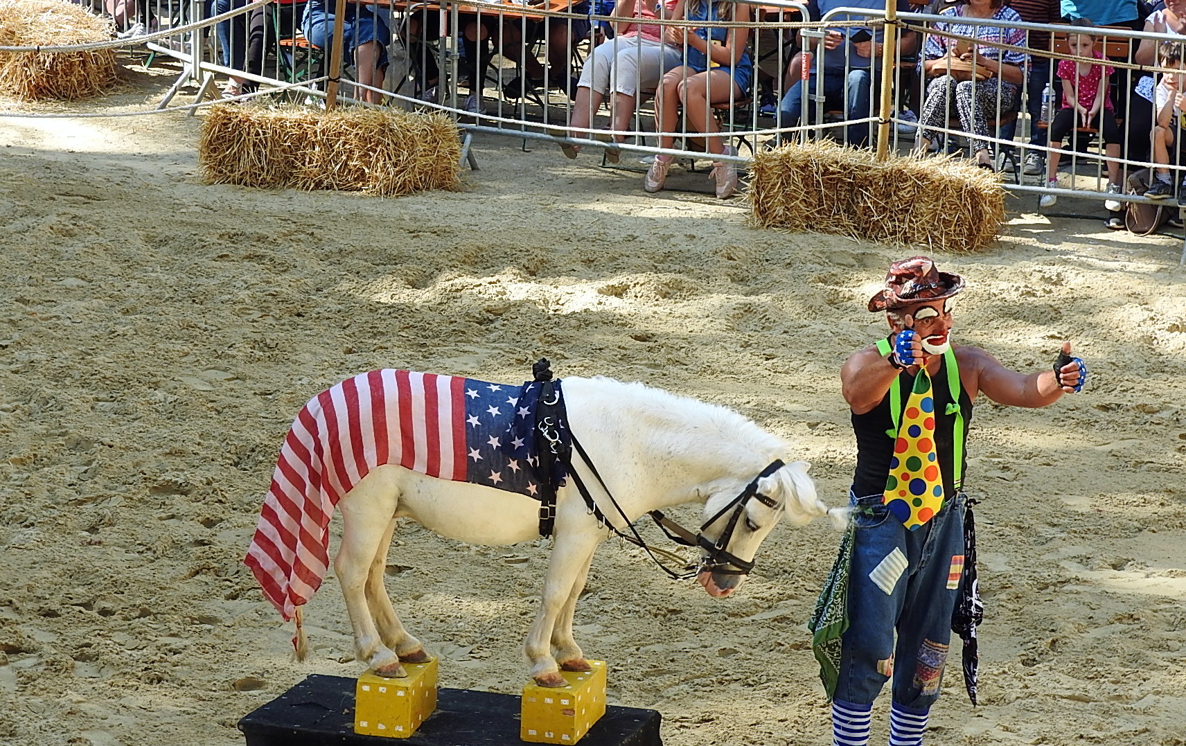 Journée du cheval 09092018 Fort de Condé (29)