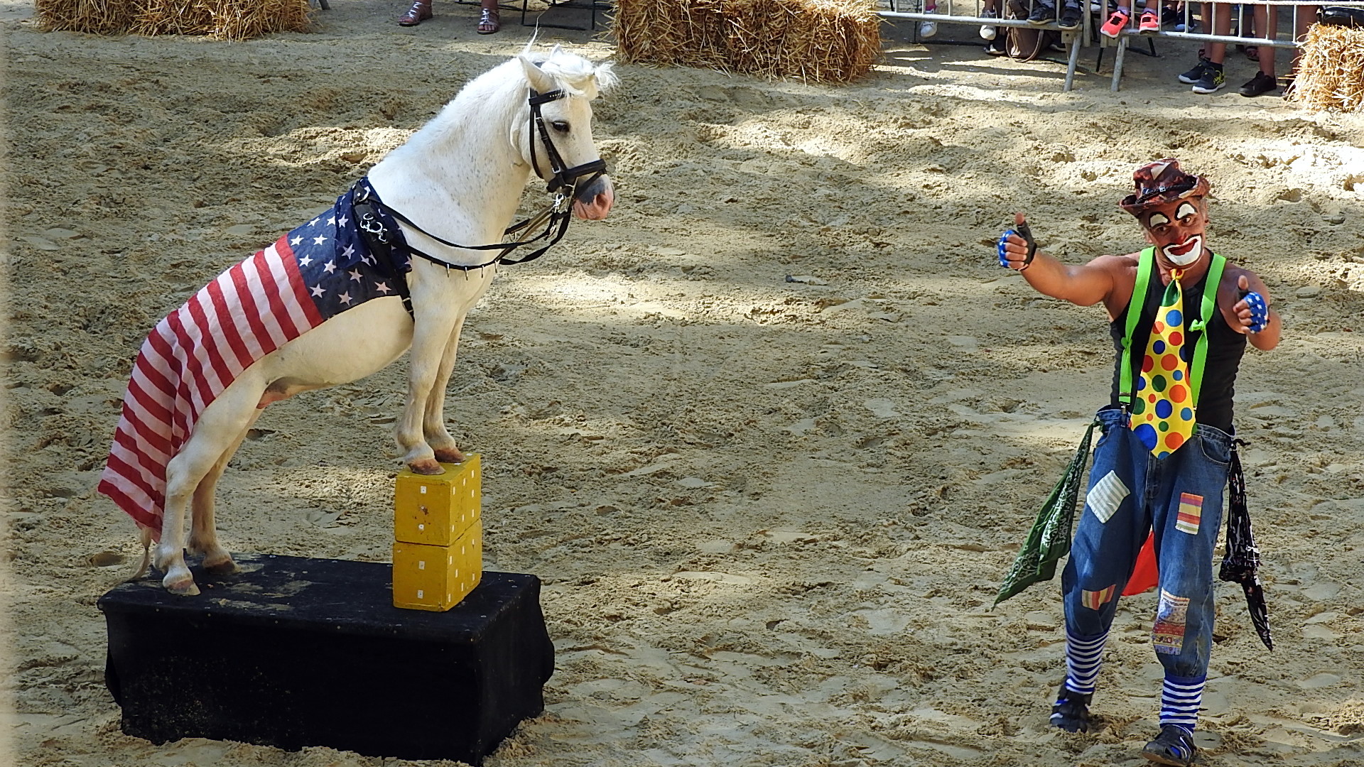 Journée du cheval 09092018 Fort de Condé (30)
