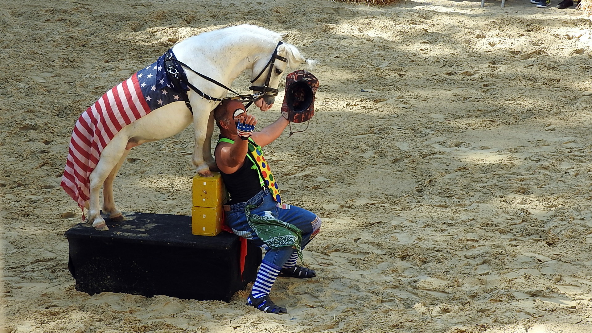 Journée du cheval 09092018 Fort de Condé (31)