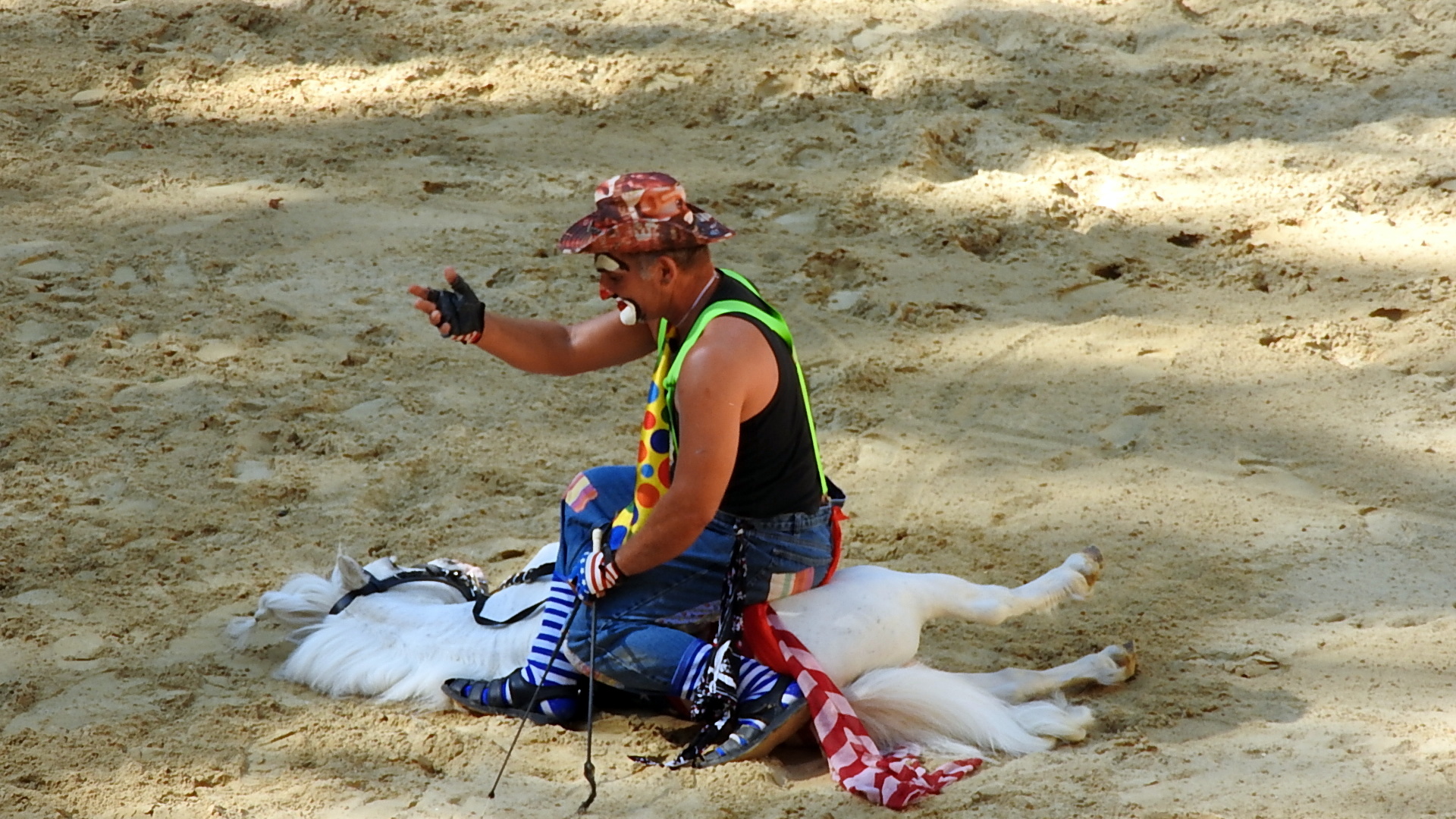 Journée du cheval 09092018 Fort de Condé (32)