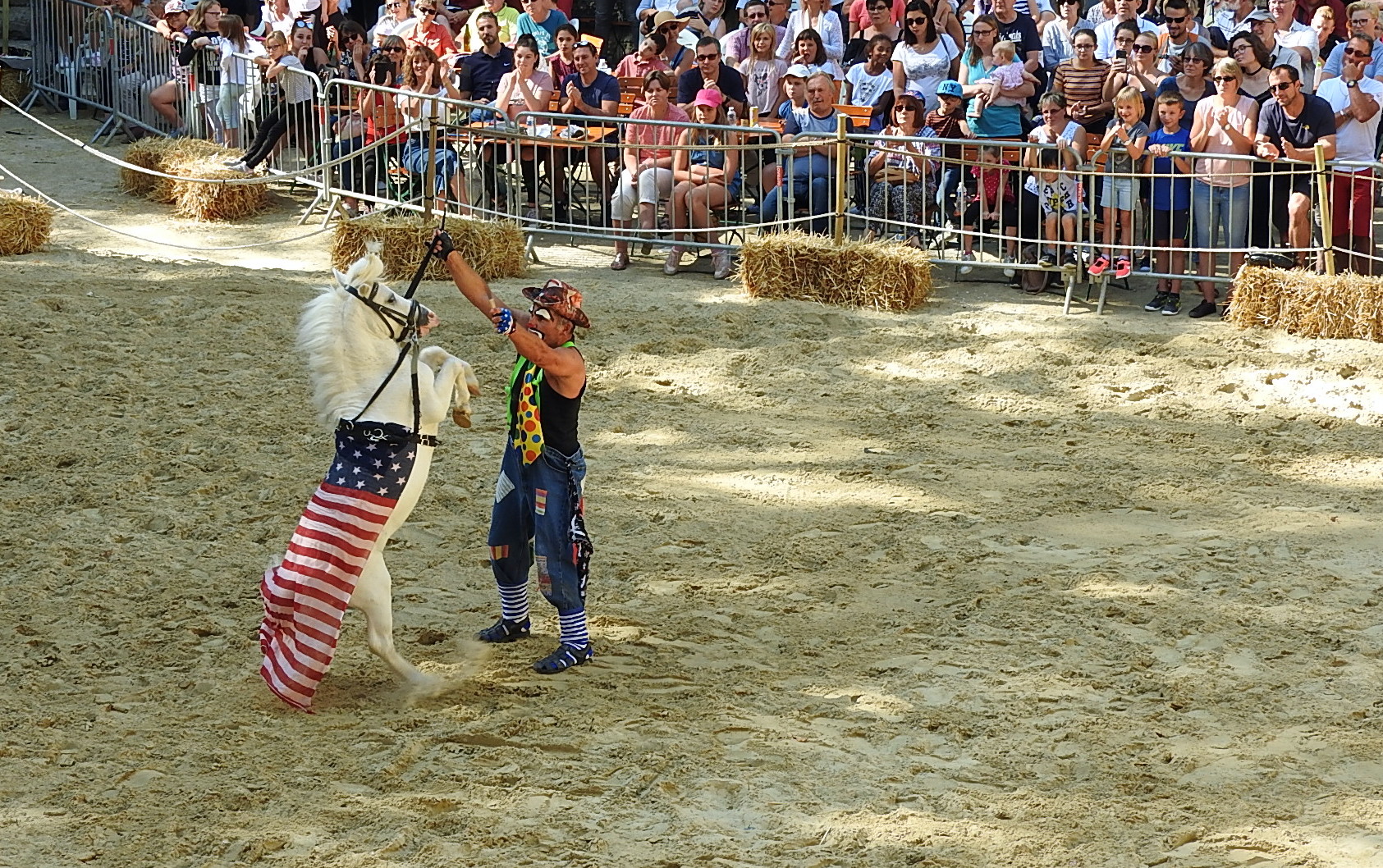 Journée du cheval 09092018 Fort de Condé (33)