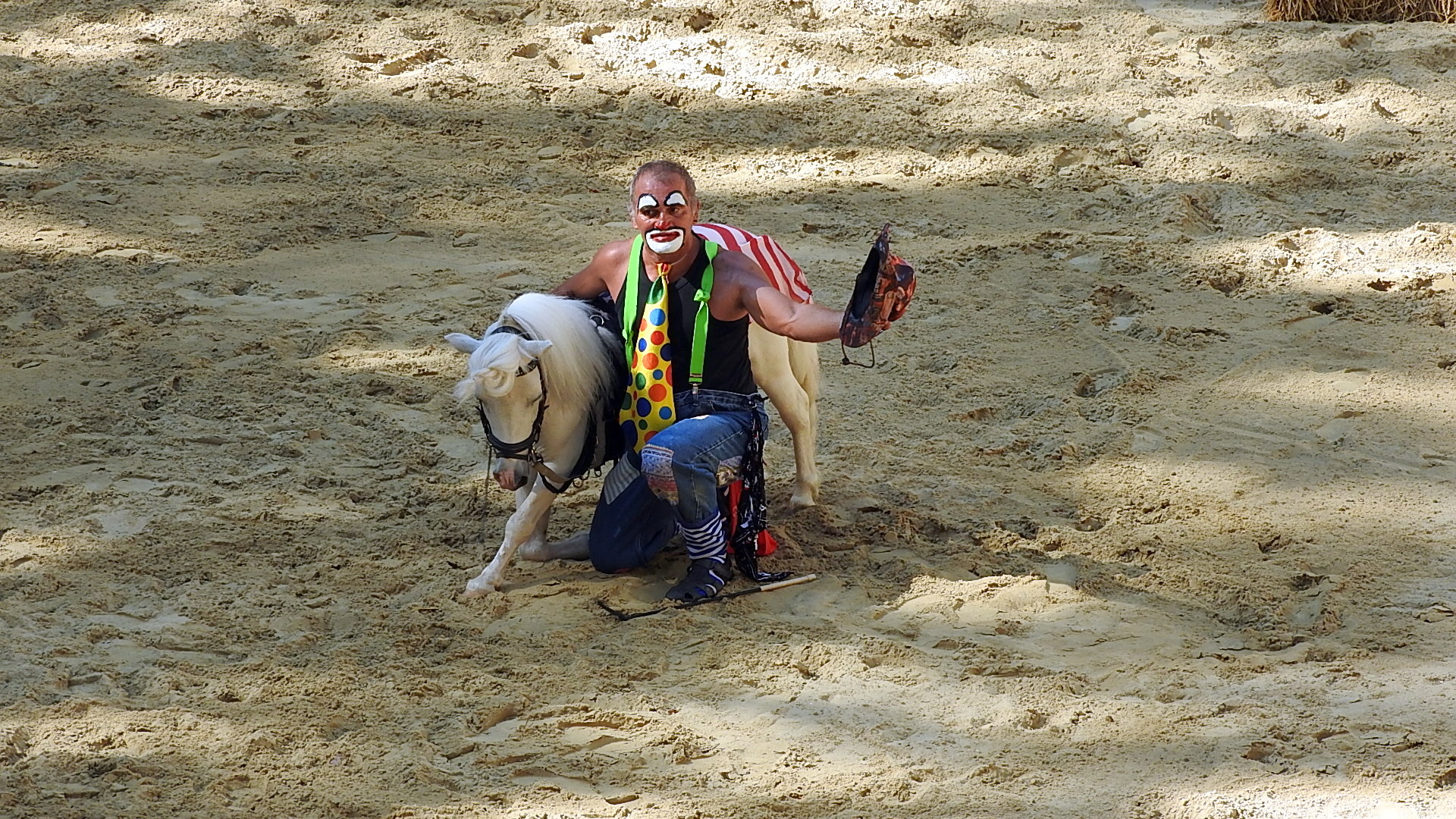 Journée du cheval 09092018 Fort de Condé (34)