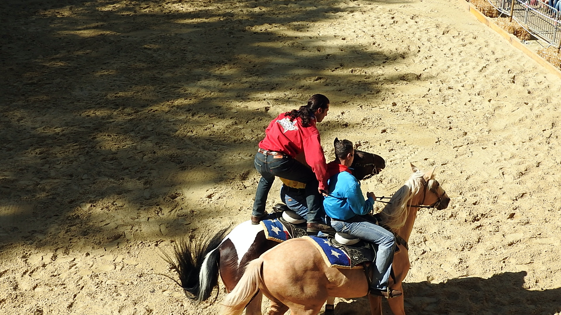 Journée du cheval 09092018 Fort de Condé (35)