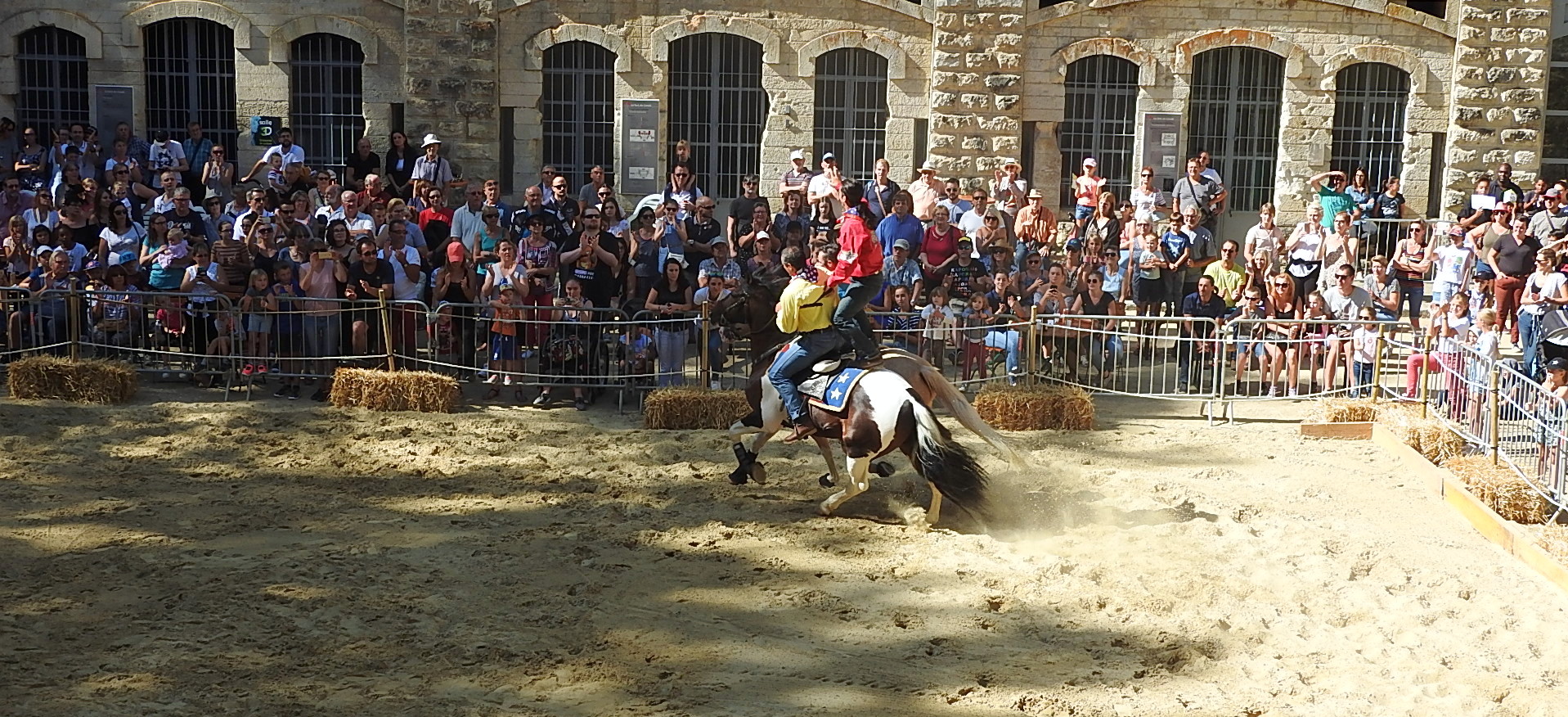 Journée du cheval 09092018 Fort de Condé (36)